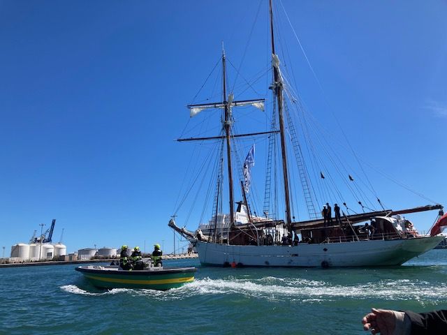 LIVE. Stopover in Sète 2024: follow the departure parade of the tall ships