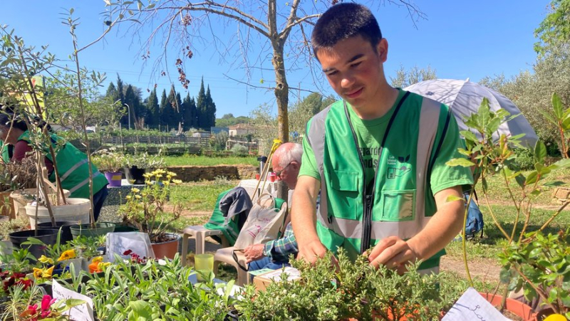 Amateur gardeners exchange plants and knowledge while partying