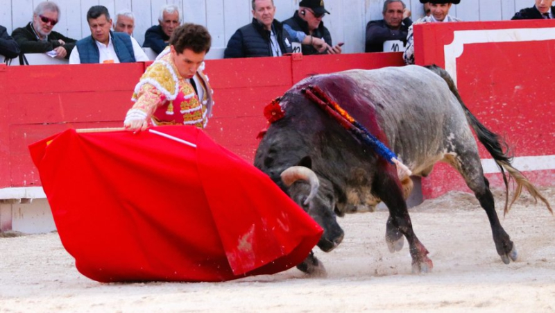 Feria d’Arles: Juan Leal opens the big door against La Quinta