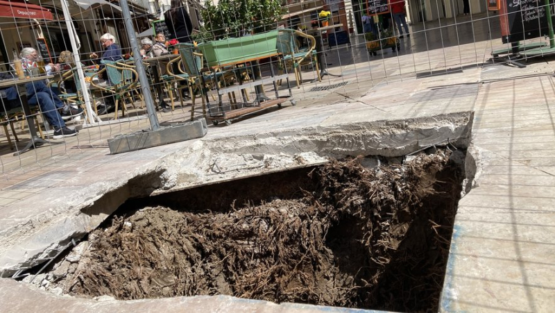 Sur la place du Marché à Nîmes, un trou prêt à accueillir le nouveau palmier