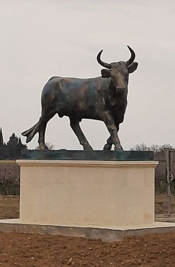 CAMARGUE COLOR. Arnaud Chabanon sculpts bulls in Saint-Laurent-d&#39;Aigouze