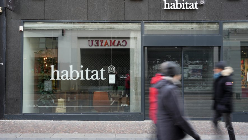 Habitat is back: five months after its liquidation, the furniture brand is relaunching online