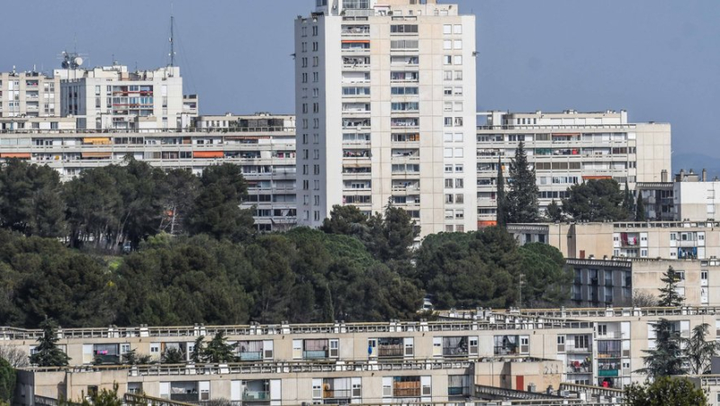 Ranked among the 50 most vulnerable neighborhoods in France, Pissevin-Valdegour in Nîmes supported by a state system