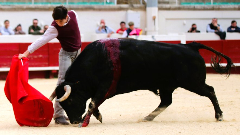 Final preparations for Christian Parejo in Béziers