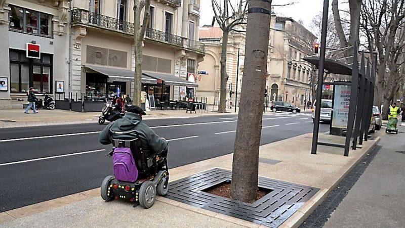 The city of Nîmes highlights its achievements as part of its inclusive policy