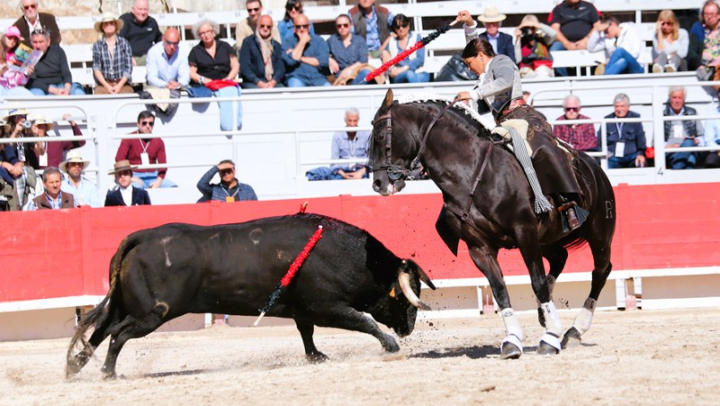 Feria d'Arles : les trois cavaliers triomphent pour les adieux de Mendoza