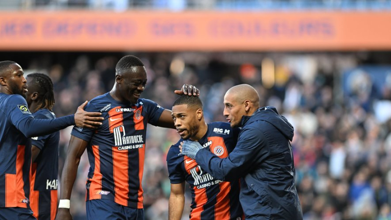 Reims - MHSC: post-Wahi, a delicate season for the pailladine attack, which is struggling to find its center forward