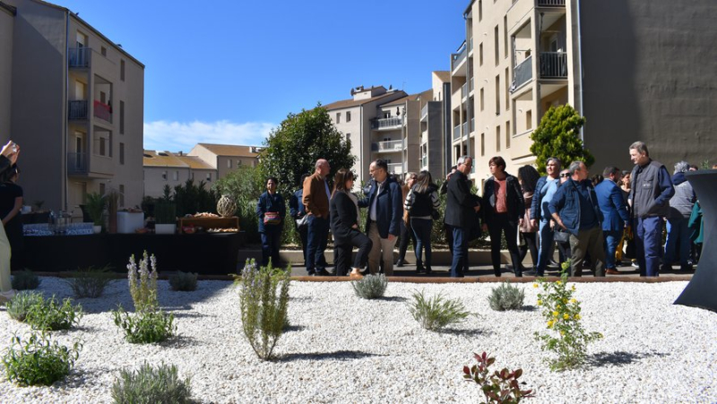 The third branch of the OPH, on avenue Gambetta, in Béziers, opened its doors on April 2