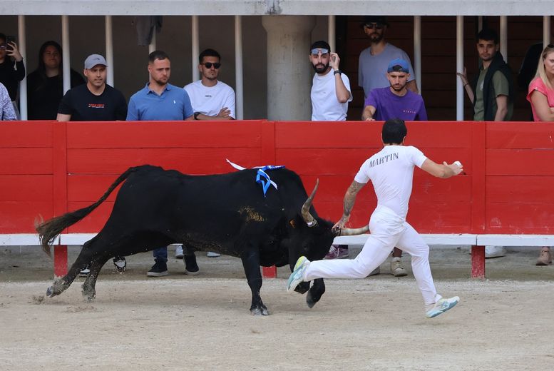 Lunel : Tarquin (Saumade) et Ziko Katif remportent le Trophée Patrick-Castro