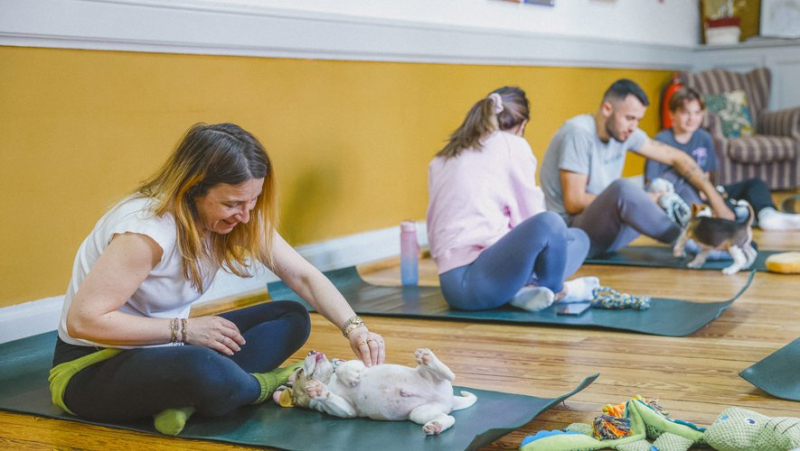 “A real exploitation for commercial purposes”: “puppy yoga” banned in Italy for the well-being of puppies