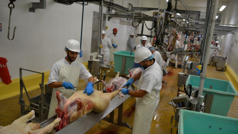 "What a waste of energy": the Saint-Affrique slaughterhouse placed in receivership