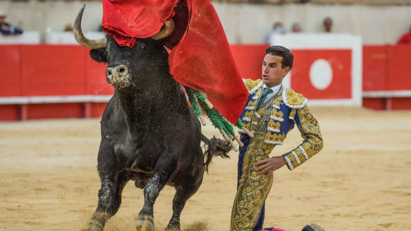 Feria de Nîmes : l’excès de triomphalisme nuit à la santé de la tauromachie