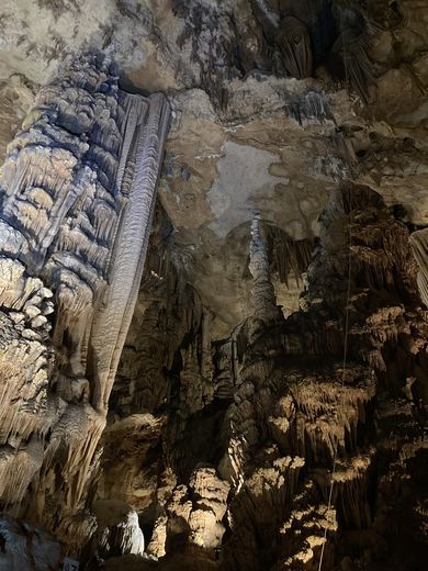 How bats shaped the caves: the research of a Gardois revolutionizes knowledge of the underground world