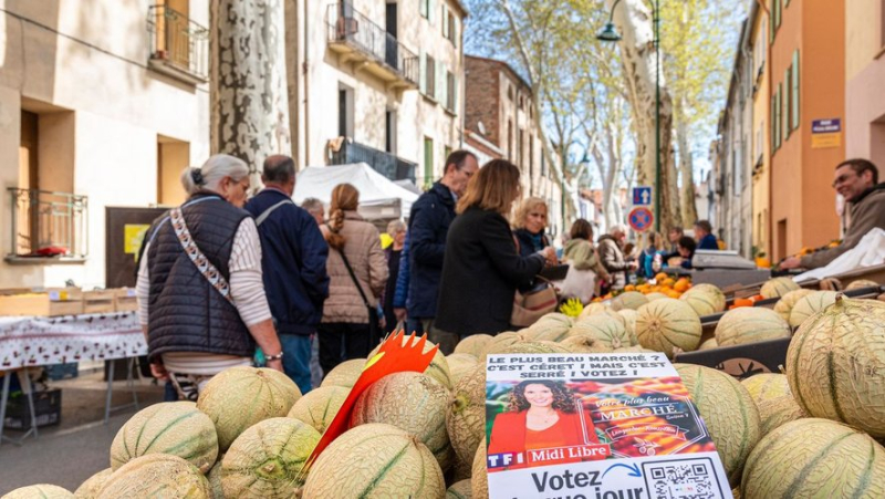 Your votes: Céret, still in the running for the title of the most beautiful market in France