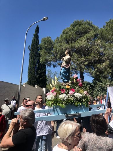 At Mas-de-Mingue, a procession in honor of Santa Cruz between joy and fervor