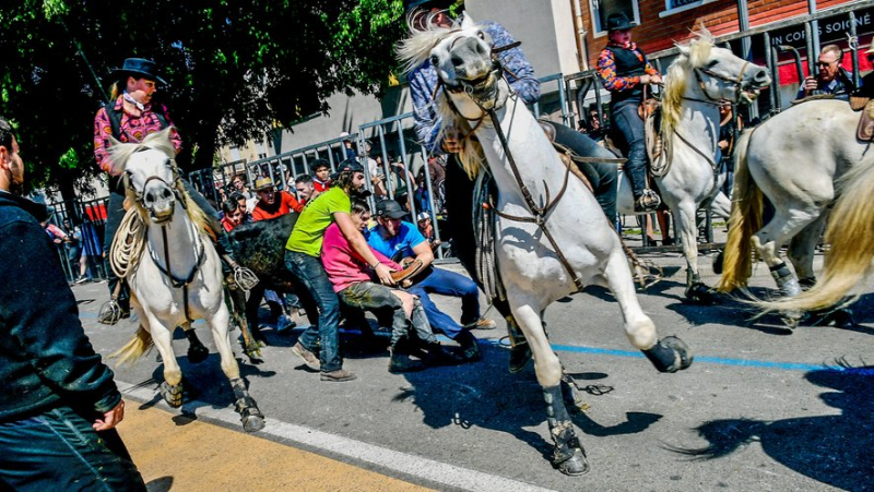 A feria-level catching competition