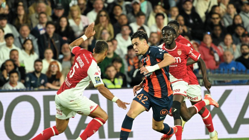 MHSC: like Othmane Maamma, who made a promising start against Monaco, the Montpellier club wants to rely a little more on its young people