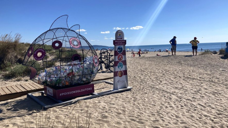 One in five beaches regularly polluted by bacteria according to an association, those in Occitanie spared