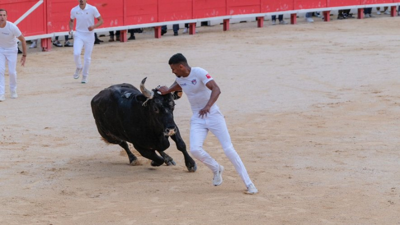 Katif and the bull Castella reap the first laurels of the Nîmes feria