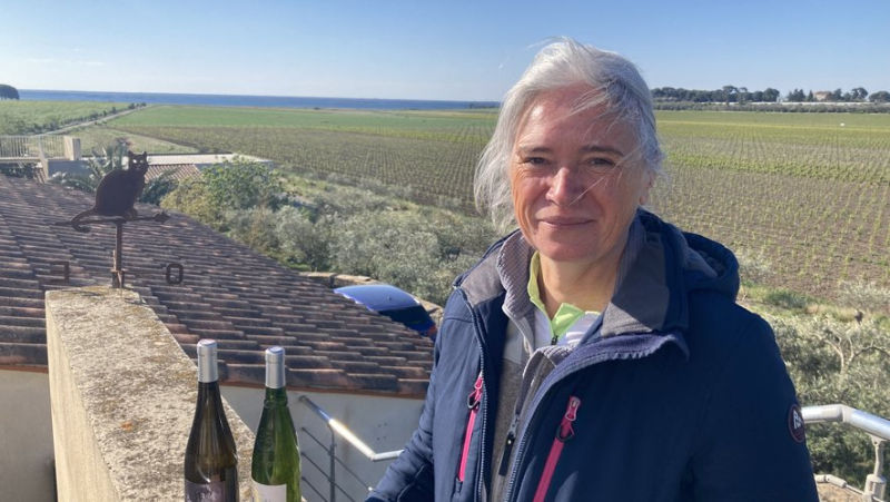 In Mèze, the Félines Jourdan estate and its wines go so well with the sea spray