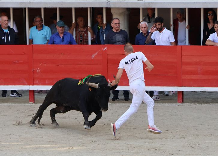 Lunel : Tarquin (Saumade) et Ziko Katif remportent le Trophée Patrick-Castro