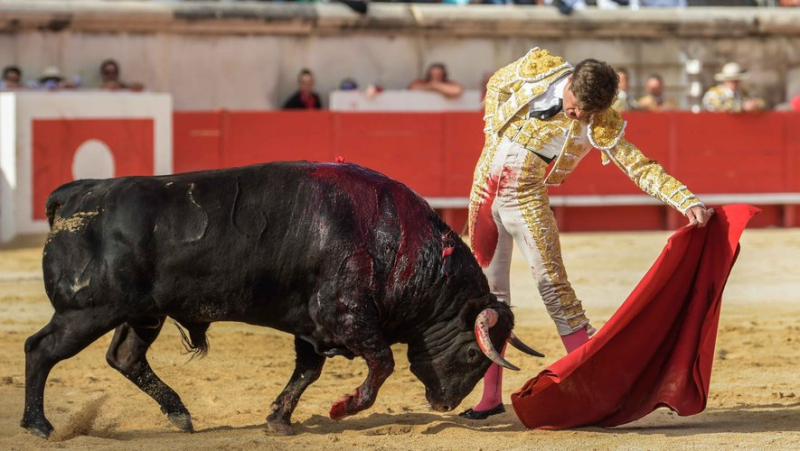 Feria de Nîmes: excess triumphalism harms the health of bullfighting