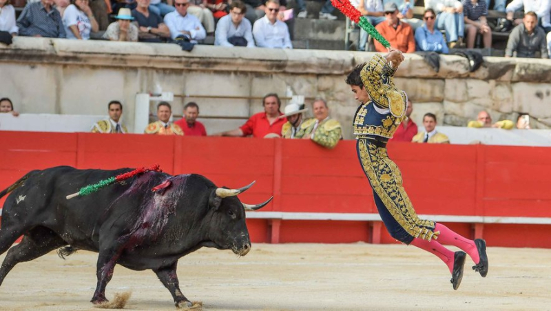 Feria de Nîmes : l’excès de triomphalisme nuit à la santé de la tauromachie