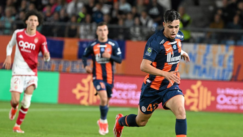 Lens – MHSC: Montpellier ends its season with a convincing draw against Lens