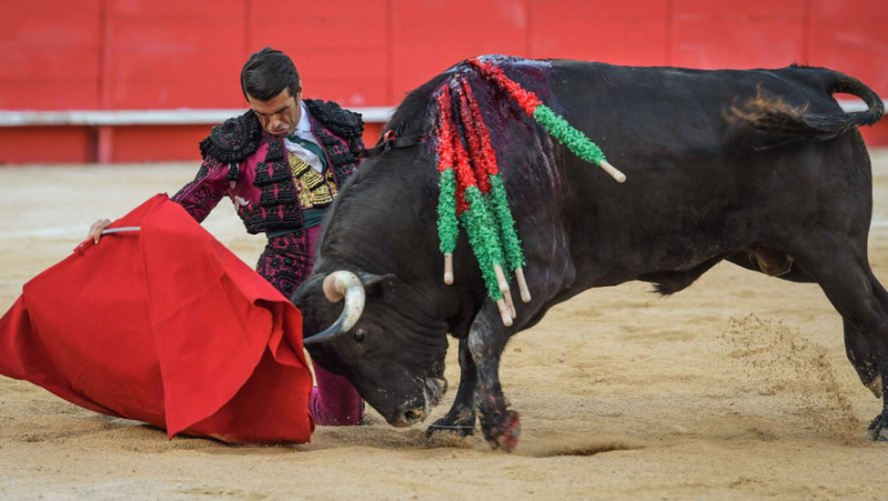 Feria de Nîmes : triomphe de Tomas Rufo devant un grand lot de Victoriano del Rio