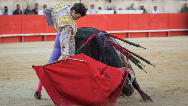 Feria de Nîmes : triomphe de Tomas Rufo devant un grand lot de Victoriano del Rio