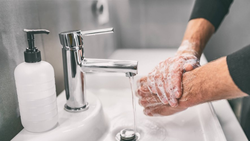 Hygiene: what are the 4 types of diseases transmitted by hands ?