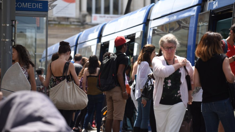 “I don’t have confidence in these figures”: FO continues to demand more resources for public transport in Montpellier