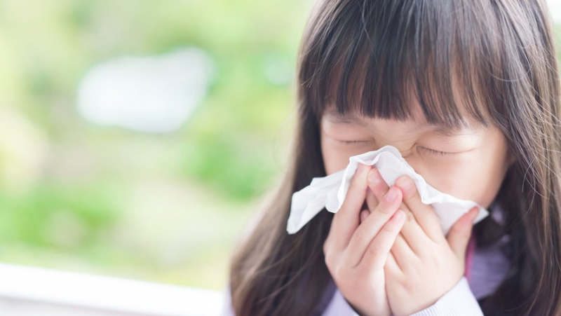 Infusions, acupuncture, diet... natural and accessible tips to relieve seasonal allergies