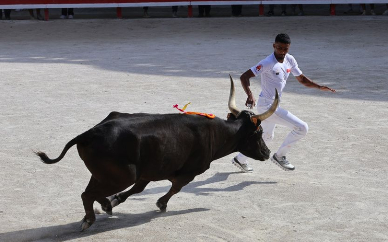 Lunel : Tarquin (Saumade) et Ziko Katif remportent le Trophée Patrick-Castro