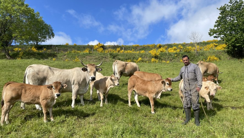 Transhumance festival at the Col de Bonnecombe: for the Gélys, a highlight with family and friends