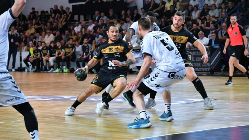 Handball/Proligue Playoffs: Frontignan, beaten on home ground, does not make the task easy
