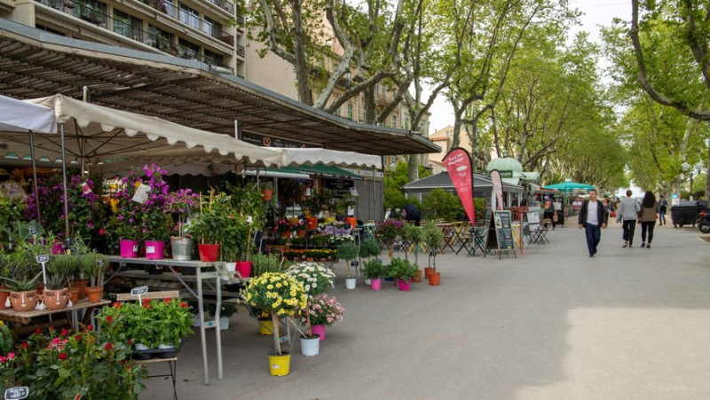 The kiosks slated for demolition will have to come into line with the Esplanade in Montpellier
