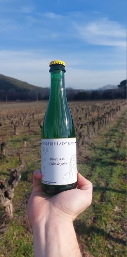 “Lady Gala”, the first cider house in Rhone Gard inaugurated Thursday at La Moba
