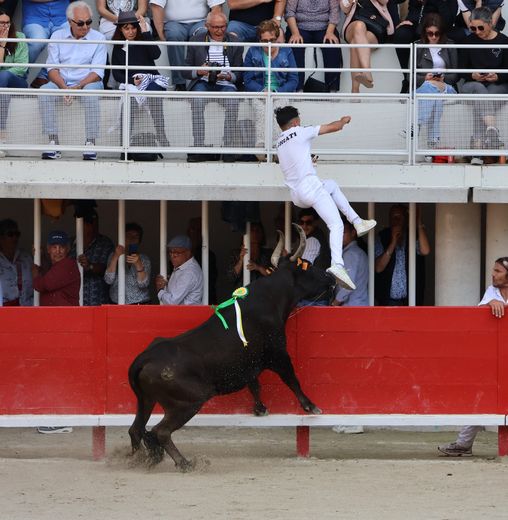 Lunel : Tarquin (Saumade) et Ziko Katif remportent le Trophée Patrick-Castro