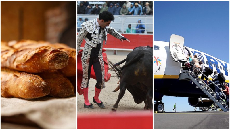 Champion baker, bullfight or not in Pérols, something new at the airport.... the essential news in the region