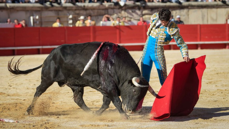 Feria de Nîmes : triomphe de Tomas Rufo devant un grand lot de Victoriano del Rio