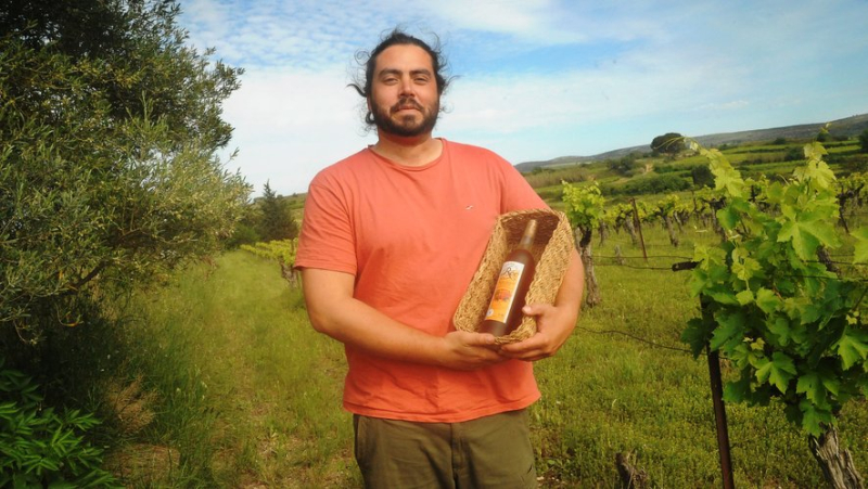 A concentrate of terroir in Cartagena from Cellier du Roc, in Gignac