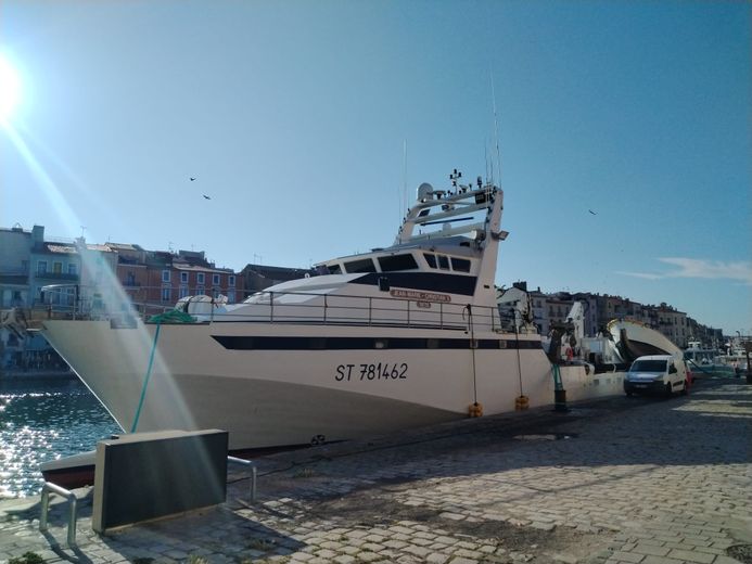 The first tuna seiner is already back on the quays of Sète