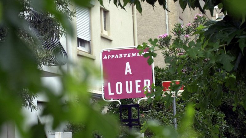 "I offered 100 euros more under the table for housing": rent control in Montpellier, a measure that is sometimes misused