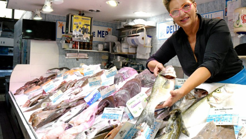 “The number 1 purchasing criterion price”: popular fish, its cost an ever-increasing barrier to consumption