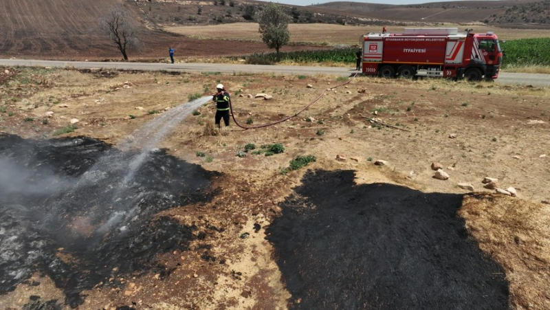 Vegetation fire in Türkiye: at least eleven dead, dozens injured and a massacre of livestock