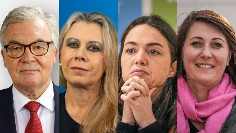 European elections: Garraud, Sanchez, Ridel, Imart... who are the eight deputies from the Occitanie region ?