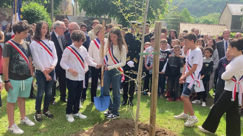 Landing of June 6, 1944: a tree of memory planted in the park of the town hall of Marvejols