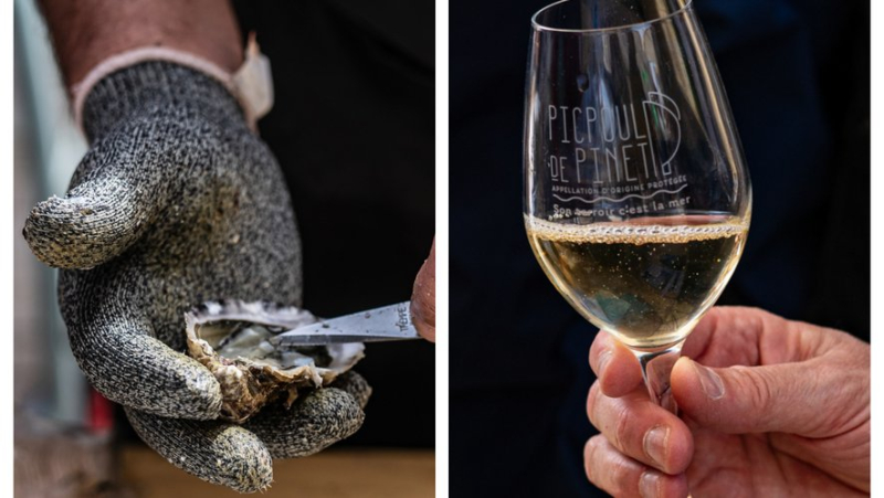 Picpoul de Pinet and Mediterranean oysters are coming to the Nîmes market this Sunday, June 16