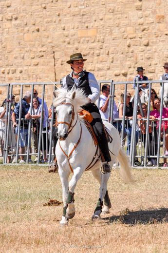 Équitation : Caroline Mazoyer, travail et tradition